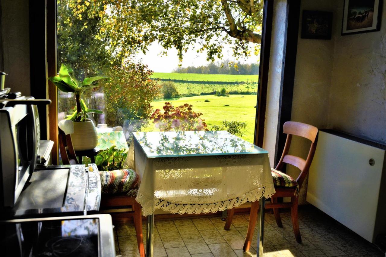 Maison Jeanny, Full House With Big Garden Frasnes-lez-Anvaing エクステリア 写真